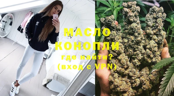 индика Богданович